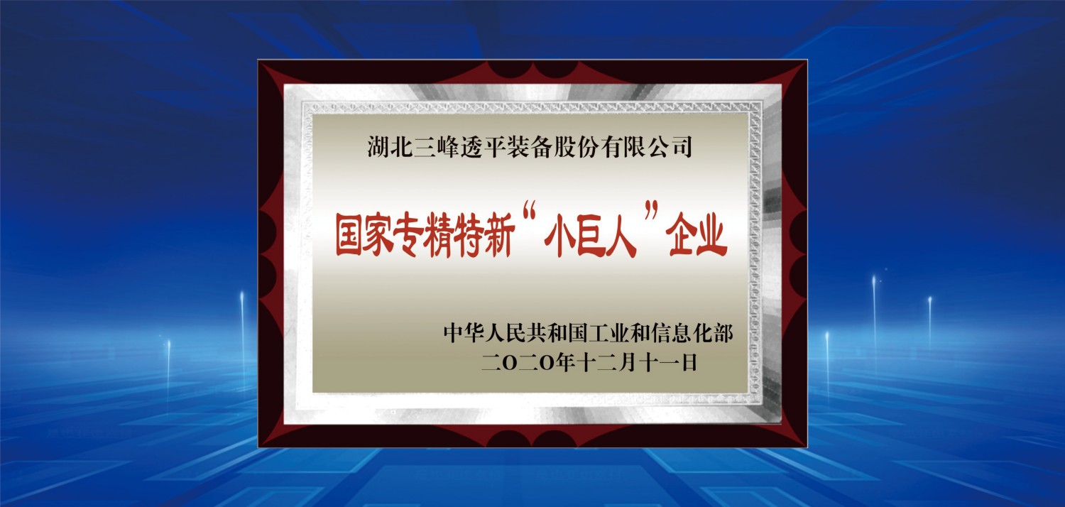 國家級(jí)專精特新小巨人.jpg